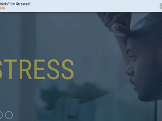 TrainingBriefs® I’m Stressed!