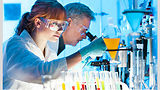 SafetyBytes® HazCom: How Hazardous Substances Effect The Body 