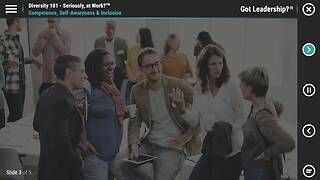 LearningBytes® Diversity 101 – Seriously, at Work?™