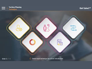 Got Sales?™ Territory Planning