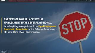 The Consequences of Sexual Harassment™ (DE Employee)